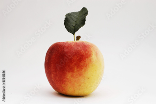 Photo: Apfel rot-gelb Apfel rot-gelb
