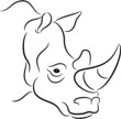 Rhinoceros