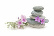 spa still life