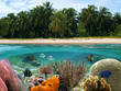 Tropical dreams