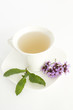 Foto: Eisenkraut,Verbena bonariensis,Verbenabonariensis.. Eisenkraut,Verbena bonariensis,Verbenabonariensis..