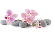 Photo: Still life with pink orchid with gray stones Still life with pink orchid with gray stones