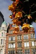 Belfast