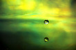 Water drop.