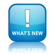 "WHAT’S NEW" Web Button (products services news find out more)