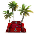 Tropical trip and red luggage Tropical trip and red luggage
