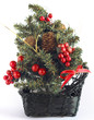 Beautiful isolated Christmas tree