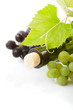 Wine and grape isolated Wine and grape isolated