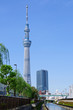 Tokyo Sky tree
