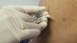 injection syringe