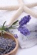 fiori di lavanda