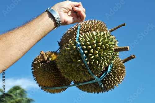 Foto: Tropenfrucht Tropenfrucht