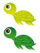 green turtle