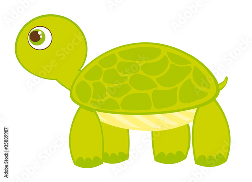awk turtle