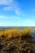 Beach scenic