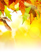 Art abstract autumn background