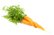 Pair of carrots