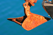 close up of an anchor close up of an anchor