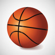 Vector basket ball
