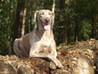 Endlich Pause ...