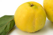 Quitten