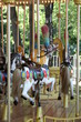 Carousel Ride