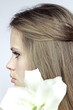 Profile the girl with a lily