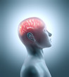 Hot brain