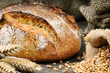Freshly baked traditional bread Freshly baked traditional bread
