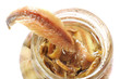 Fillets of anchovies in olive oil