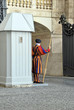 Vatican soldier standing