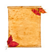 Old paper with autumn leaves, autumn note Old paper with autumn leaves, autumn note