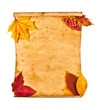 Old paper with autumn leaves, autumn note
