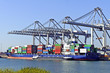 big container ships with cranes in the harbor of rotterdam