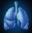 Human lungs organ as a medical symbol