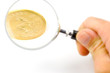 Goldmünze
