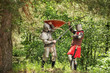 knights battle