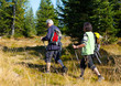 autumn hiking 8