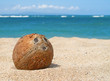 coconut on the beach