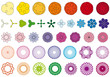 vector flower set