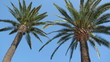 french riviera