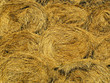 Background of round hay bales Background of round hay bales