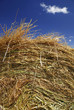 Close-up of hay bale, under blue sky