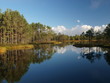 Landscape of Kõnnu Suursoo (Suru Bog)