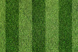 Football grass