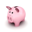 Pink pig