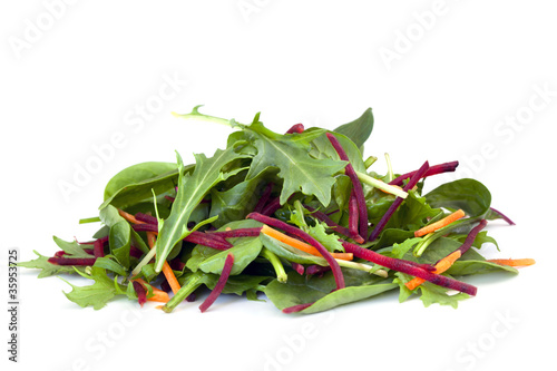 Photo: Salad Leaves Salad Leaves