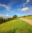 summer landscape with road