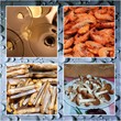 COLLAGE ENTRANTES