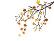 Herbstzeit